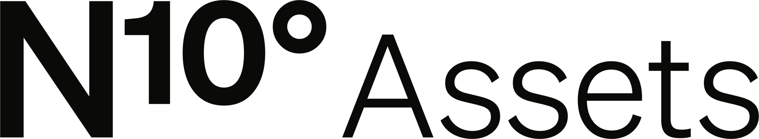 N10° Assets logo